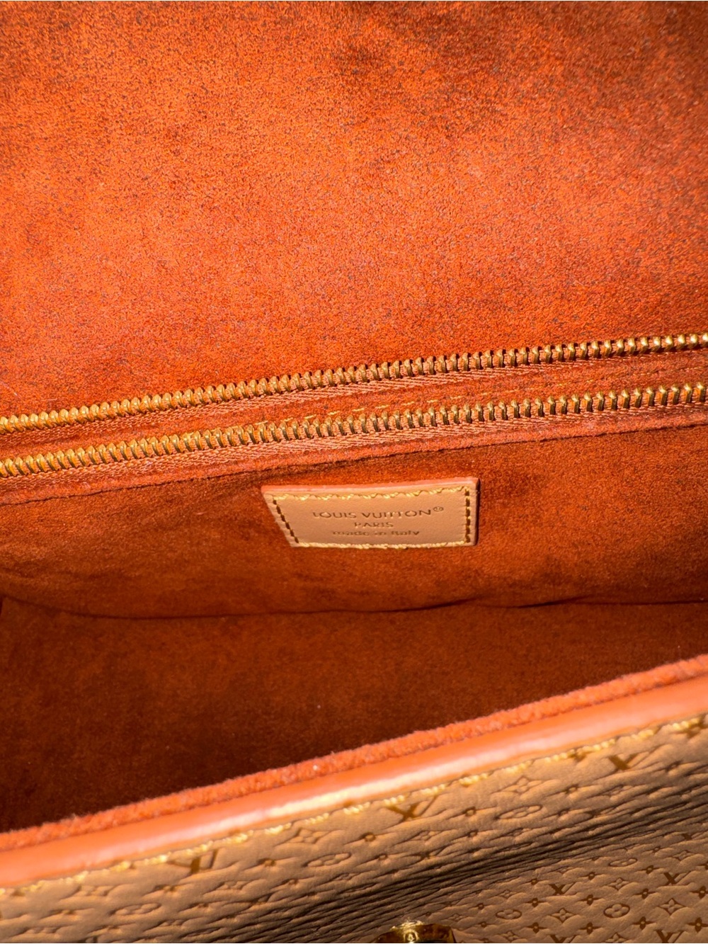 NWT Louis Vuitton Diane Hazelnut Mini Monogram  Leather Shoulder/Crossbody Bag - Picture 2 of 13